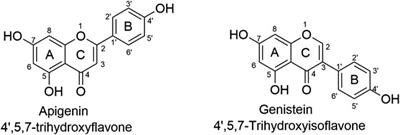 A Mini-Review of Flavone Isomers Apigenin and Genistein in Prostate Cancer Treatment